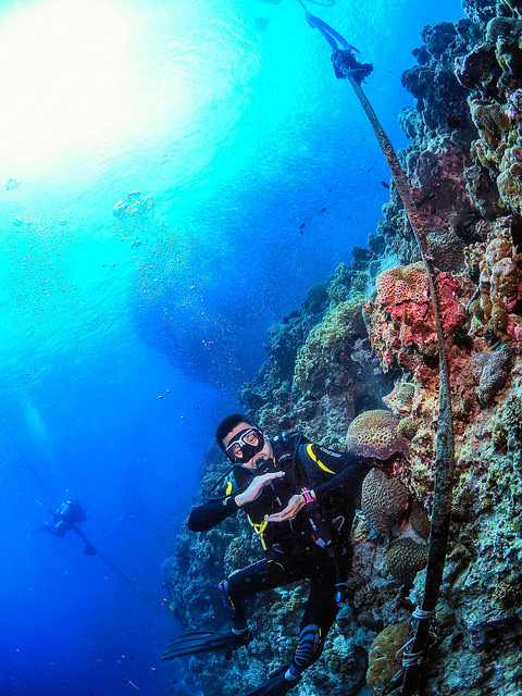 Sardins Storm in Moalboal