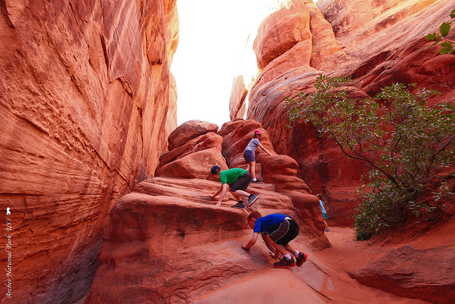 Arches National Park