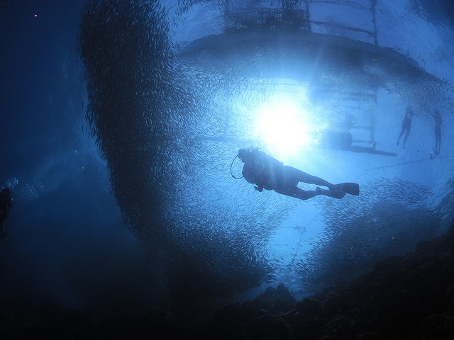 Sardins Storm in Moalboal