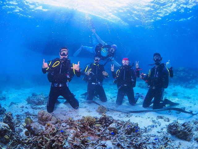 Sardins Storm in Moalboal