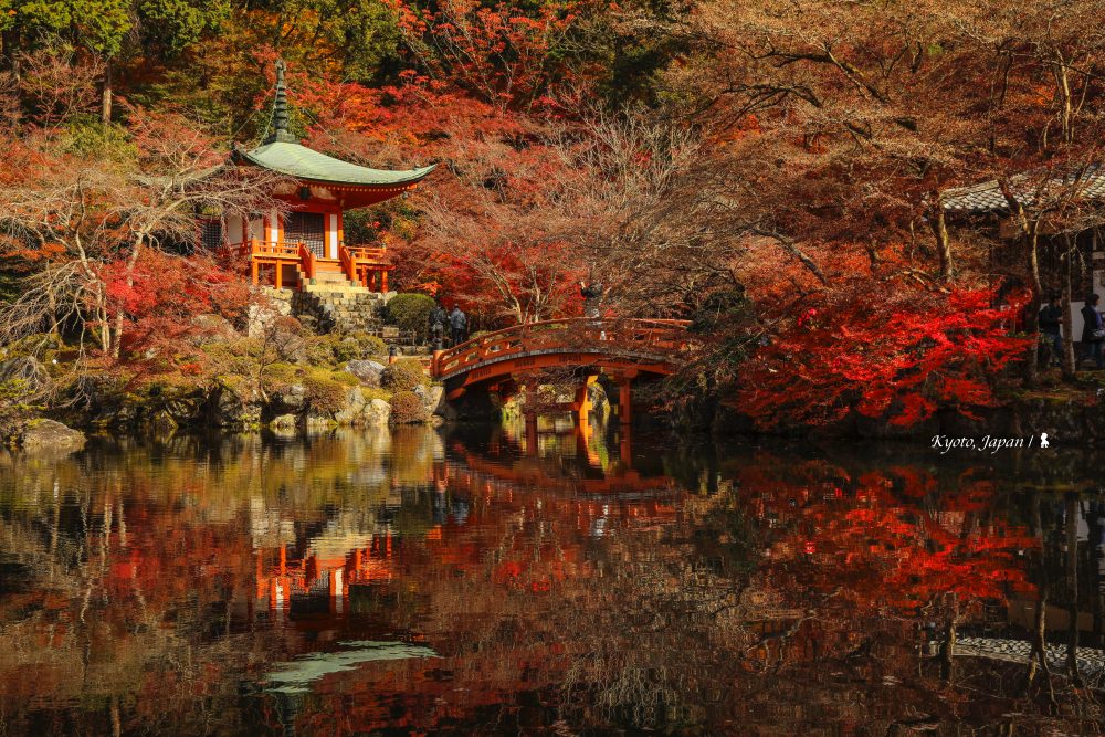 京都紅葉見頃  從味蕾出發，走入最美金秋！