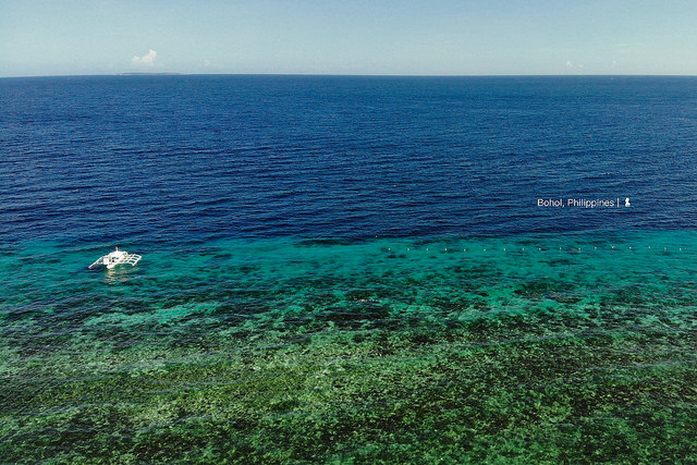 Bohol Island